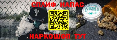 молекула духа Шелехов