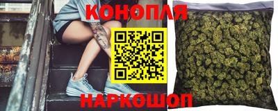 молекула духа Шелехов
