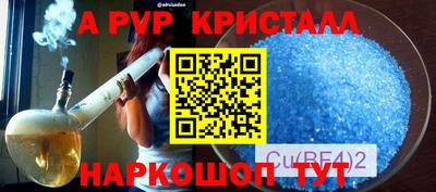 молекула духа Шелехов