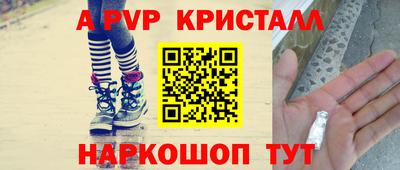 СК Шахты