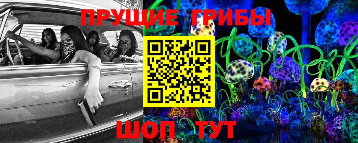 Галлюциногенные грибы Psilocybe Шебекино