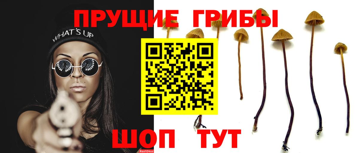 Шебекино  Галлюциногенные грибы Psilocybine cubensis  Псилоцибиновые грибы MAGIC MUSHROOMS  Вход с VPN 