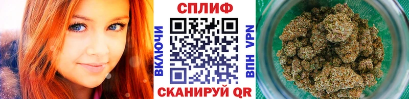 даркнет сайт  Шебекино  Бошки марихуана сатива 