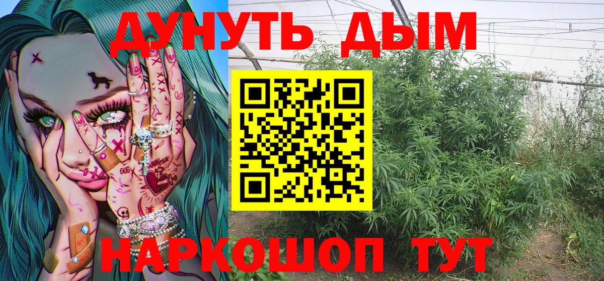 Шишки марихуана тримм  Бошки Шишки семена  Шебекино  Канабис SATIVA & INDICA  Вход с VPN 